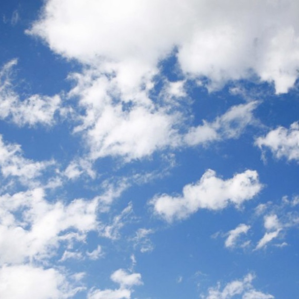 Meet your Posher, Rylee